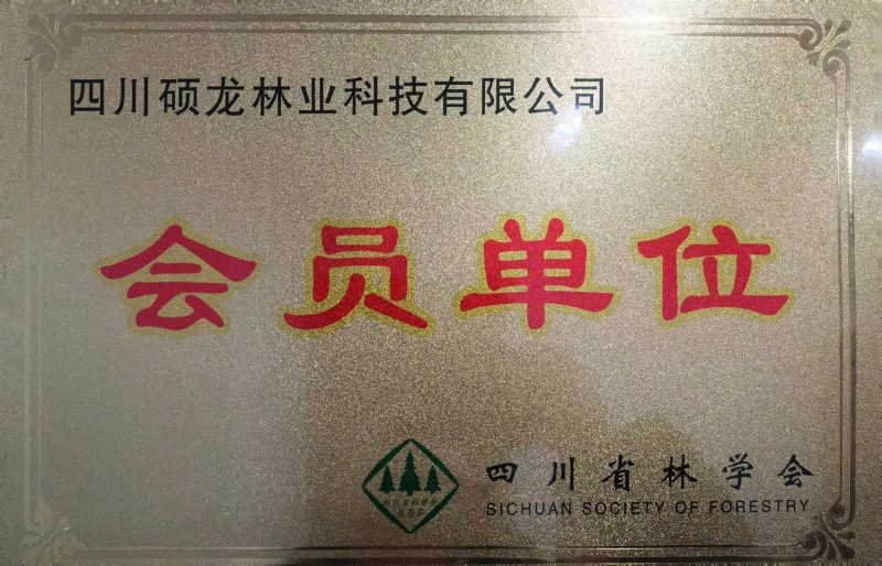 荣誉资质 