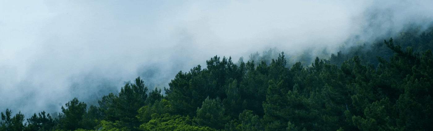 黑色地球LinkedIn Banner (3).gif