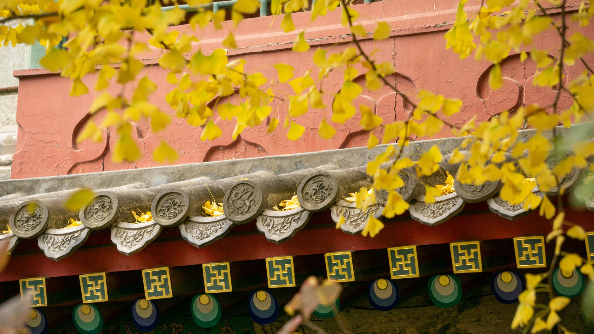 pexels-231595584-29505809_副本.jpg