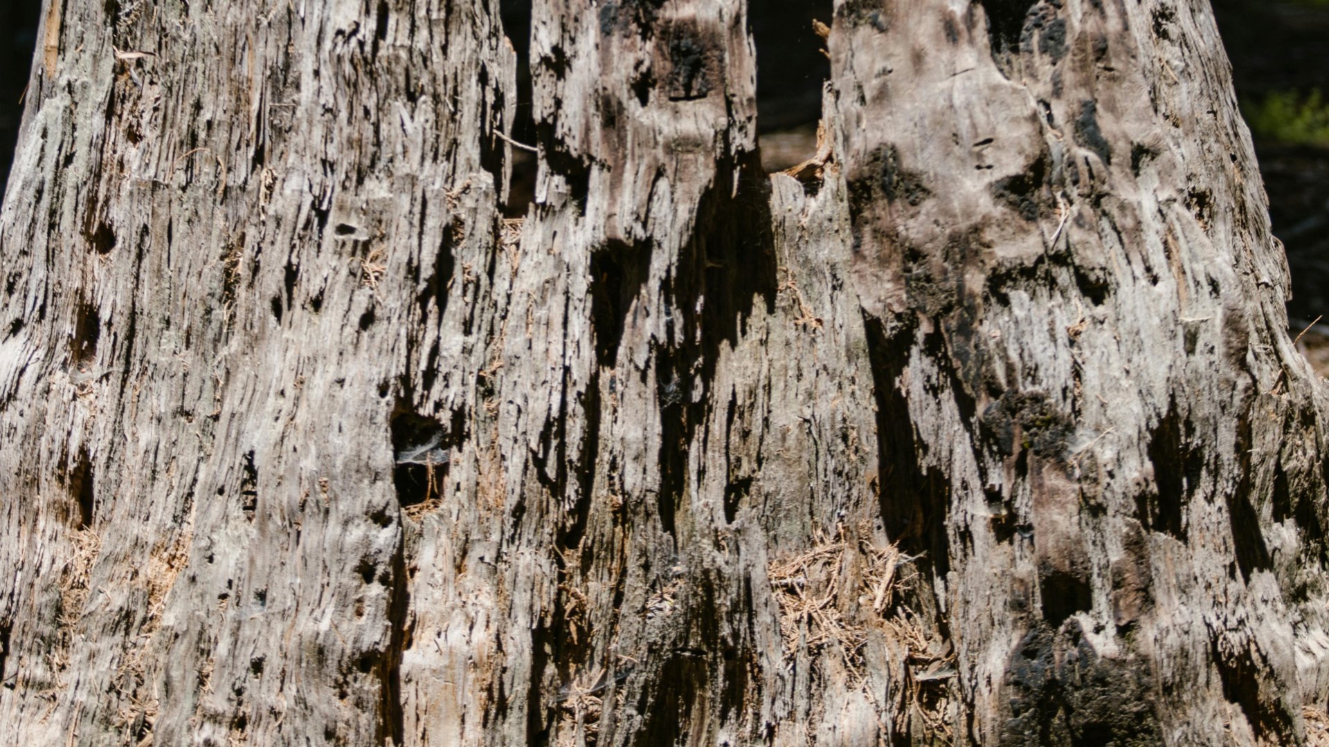 pexels-rdne-8551844_副本.jpg