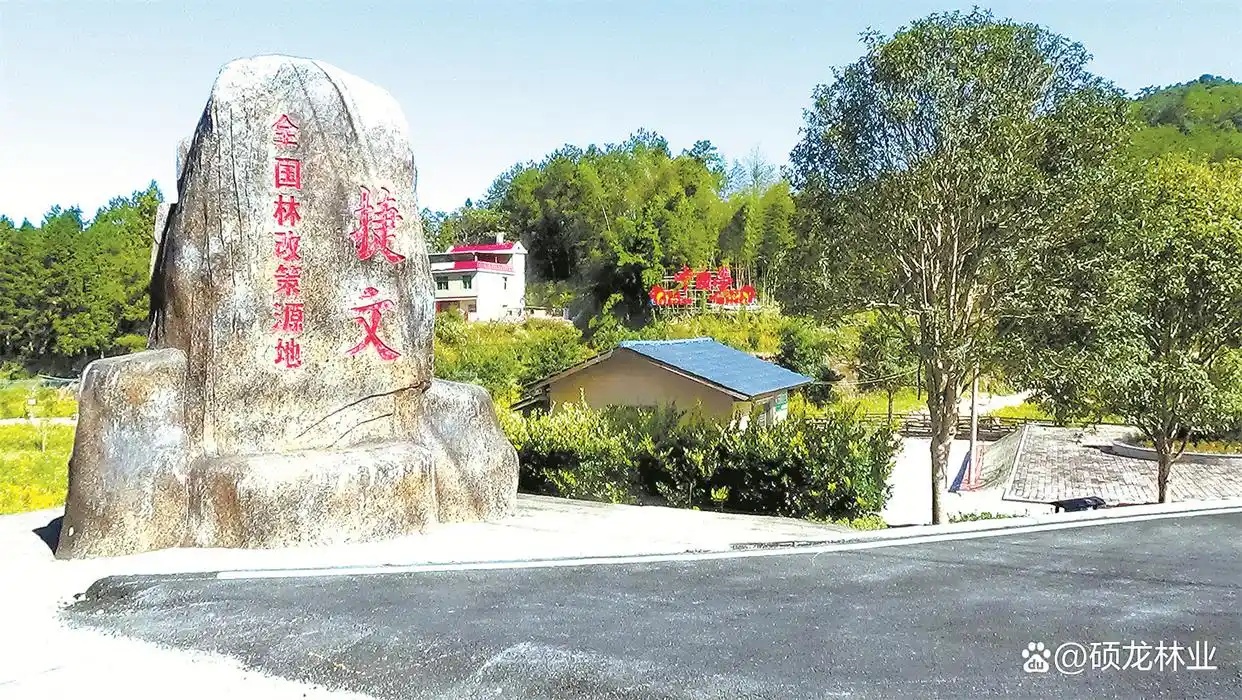 硕龙林业-全国林改策源地——捷文”石碑.jpg