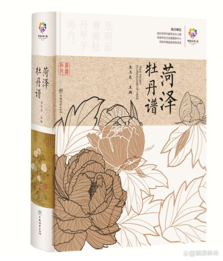 图片4.png