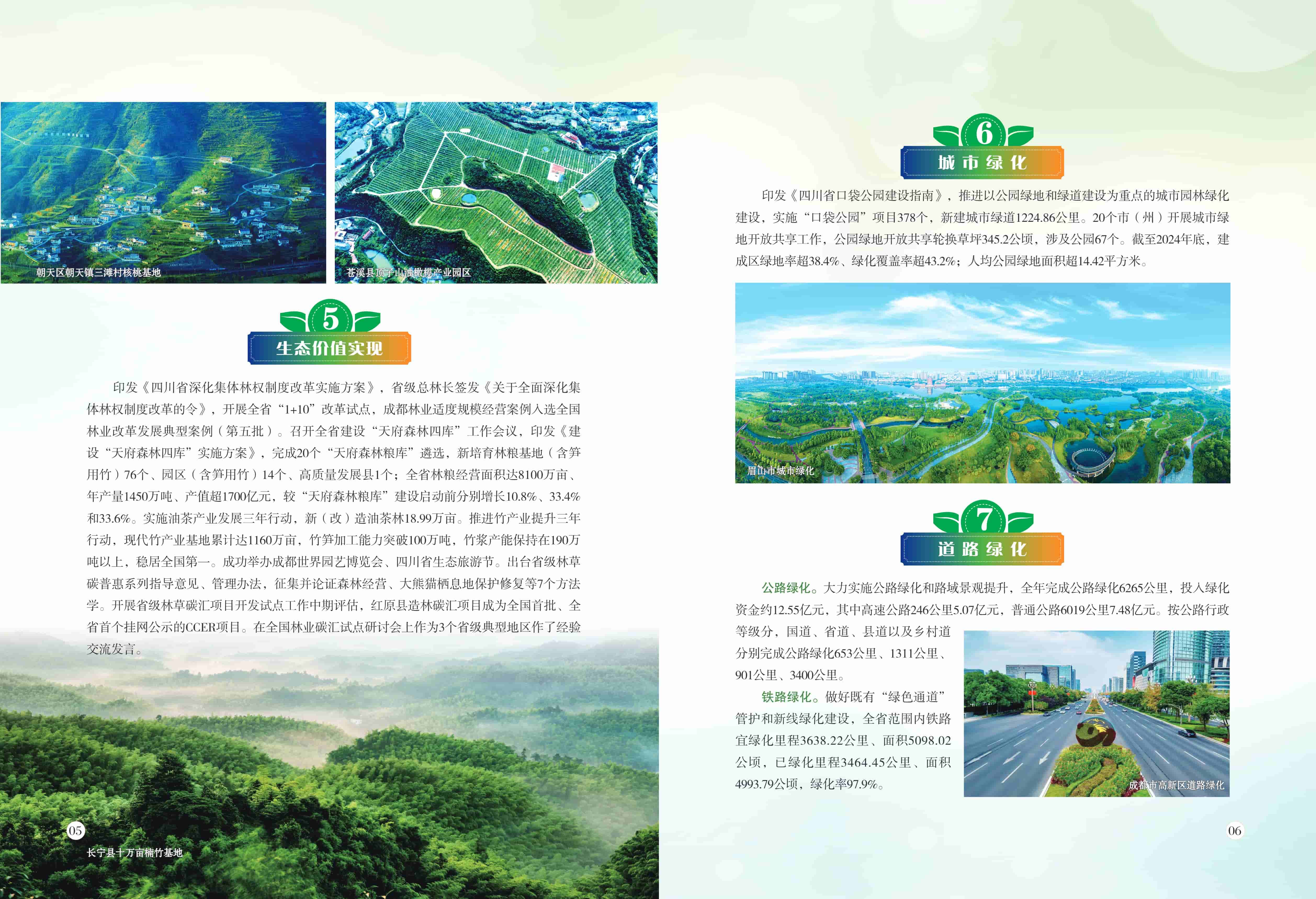 2024年四川省国土绿化公报-硕龙林业 (5).jpg
