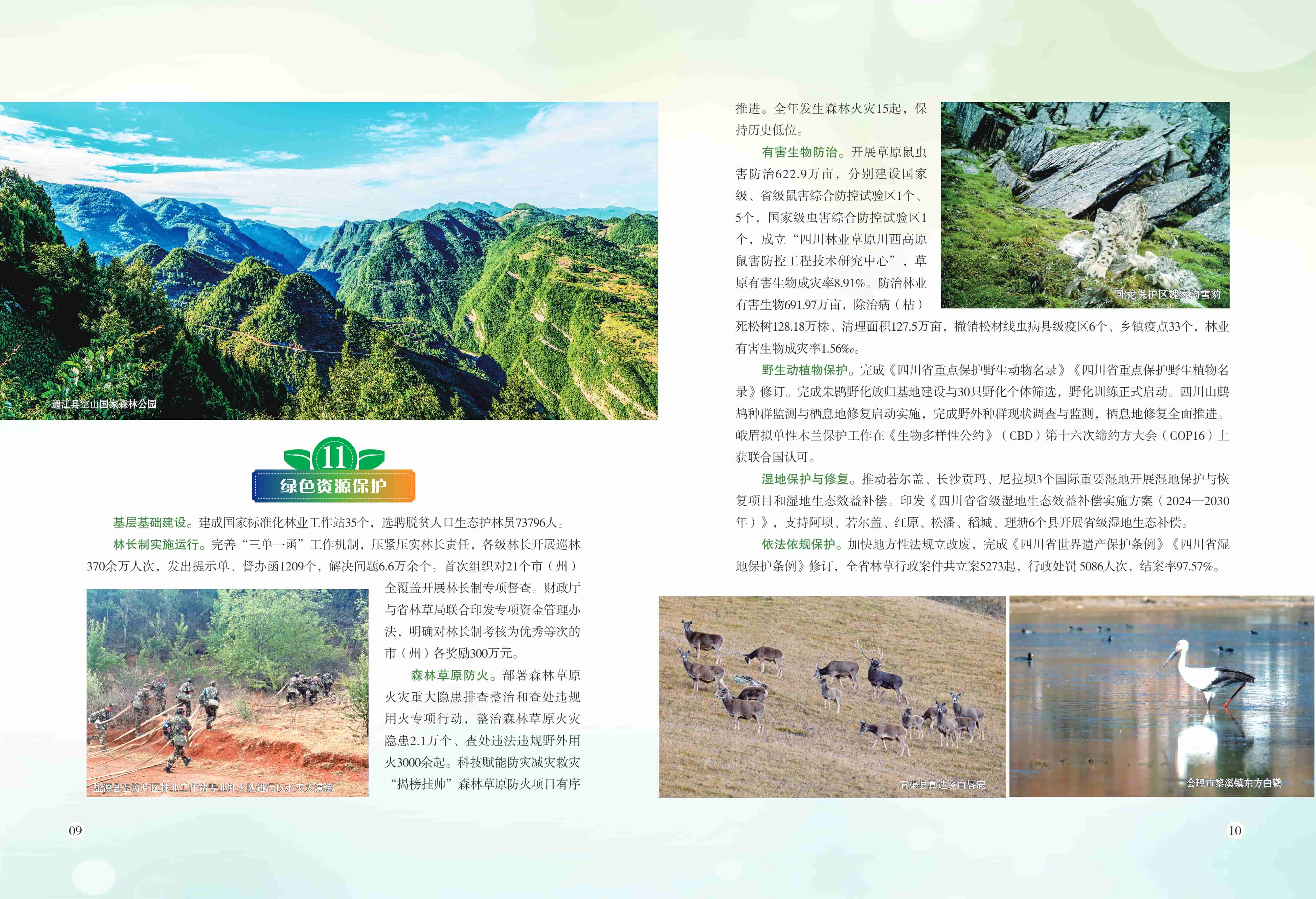 2024年四川省国土绿化公报-硕龙林业 (1).jpg